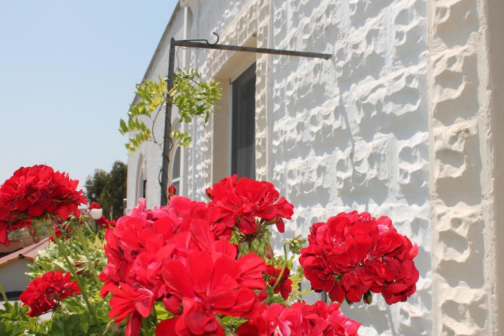 B&B Stella Marina مانفريدونيا المظهر الخارجي الصورة